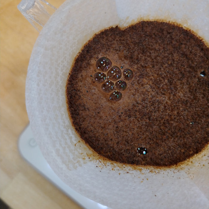 Yiting Coffee Pourover Recipe